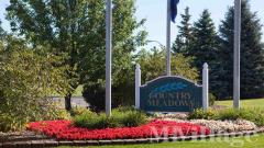 Community Image